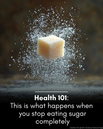 What happens to your body when you stop eating sugar — A timeline…Full recipe 👇 💬