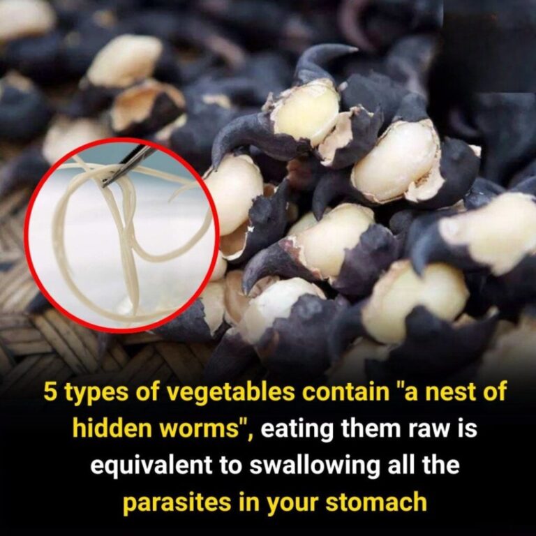5 vegetables you should never eat raw — they may hide worm nests that turn into parasites in your stomach
