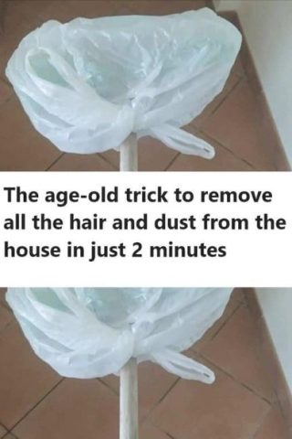 The Plastic Bag on a Broom Trick