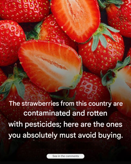 The strawberries from this country are absolutely to be avoided…See more